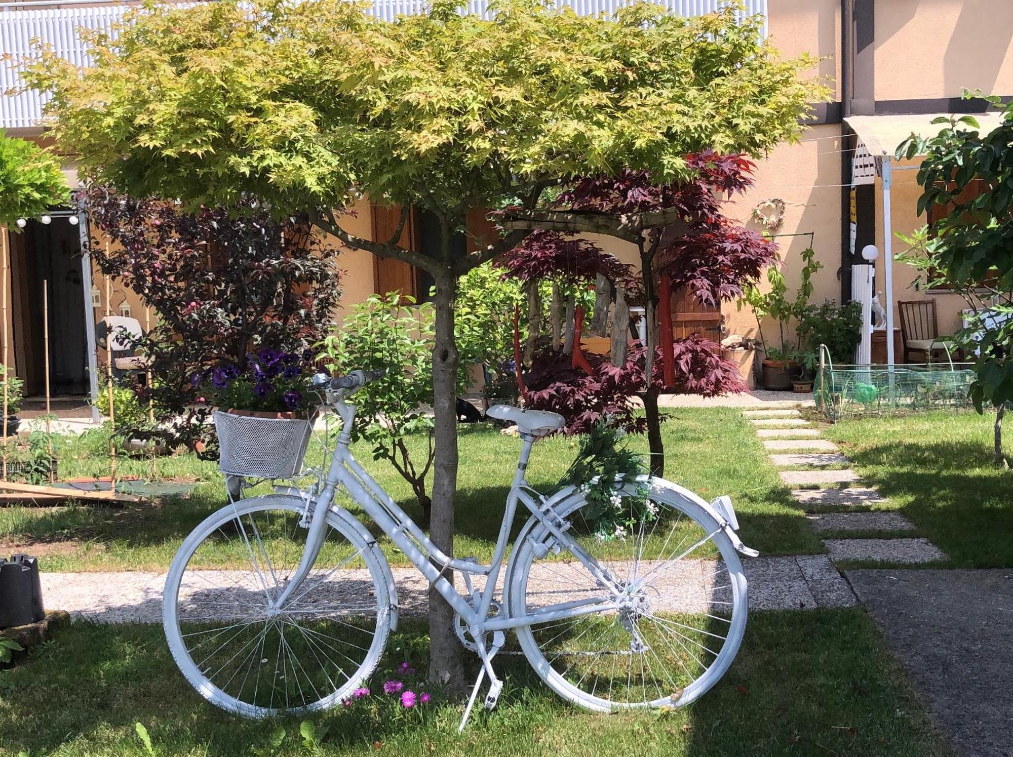 Sensory Garden Bed & Breakfast San Daniele del Friuli Exterior photo